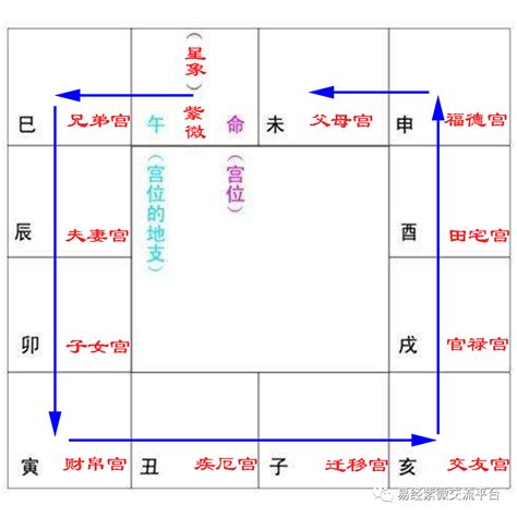 紫微12宮|紫薇十二宫